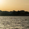 Img 7535