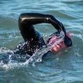 Img 7546